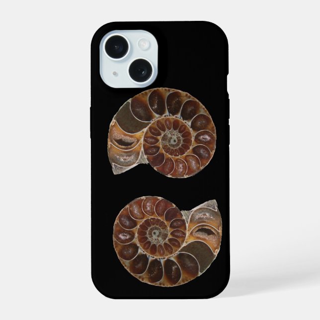 Fósseis Ammonite (Verso)