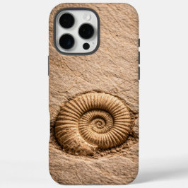 Fóssil de Ammonite Espiral