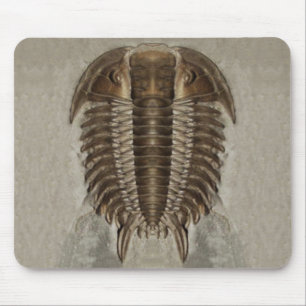Fóssil Mousepad de Trilobite