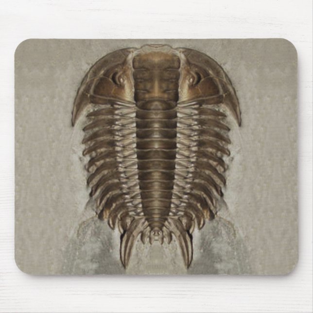 Fóssil Mousepad de Trilobite (Frente)