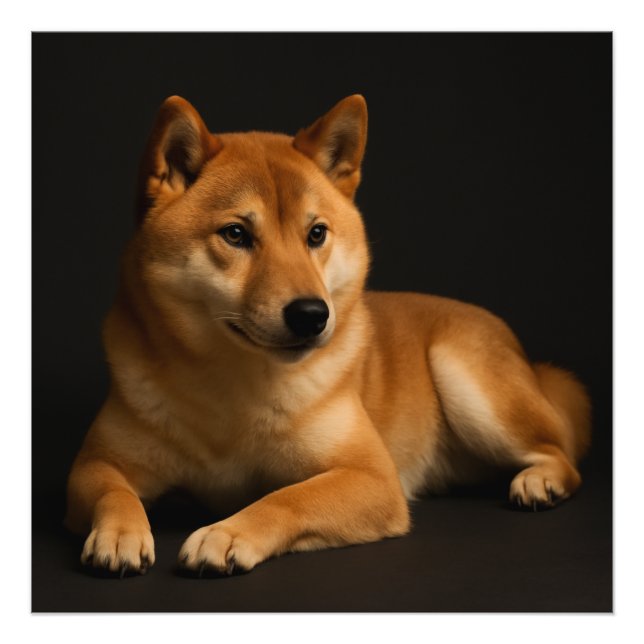 Foto 柴犬ポートレート Shiba Inu Art (Frente)