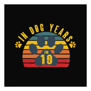 Foto 10 Em Anos de Cachorro
