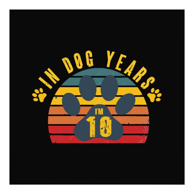 Foto 10 Em Anos de Cachorro (Frente)