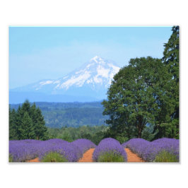 Foto 10" x 8", Kodak Professional Photo Paper (Satin)