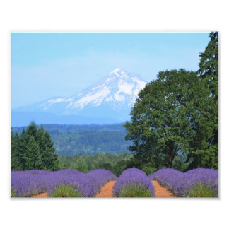 Foto 10" x 8", Kodak Professional Photo Paper (Satin)