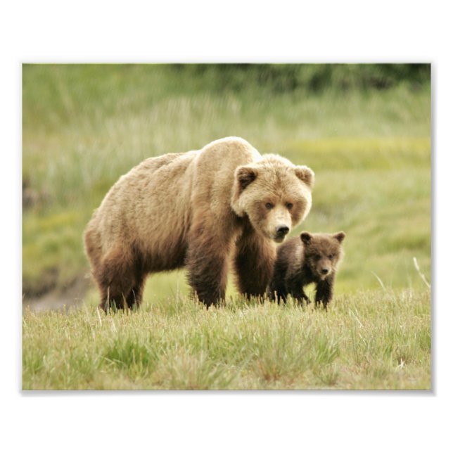 Foto 10" x 8", Kodak Professional Photo Paper (Satin) (Frente)