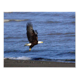 Foto 11" x 8,5", Kodak Professional Photo Paper (Satin)