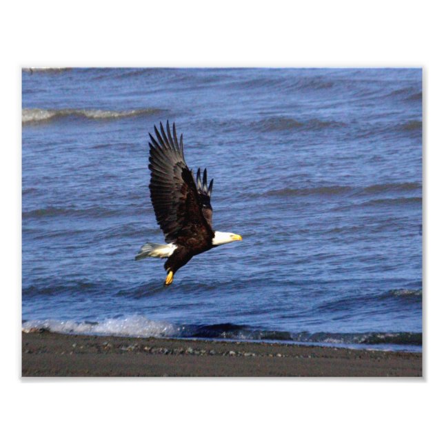 Foto 11" x 8,5", Kodak Professional Photo Paper (Satin) (Frente)