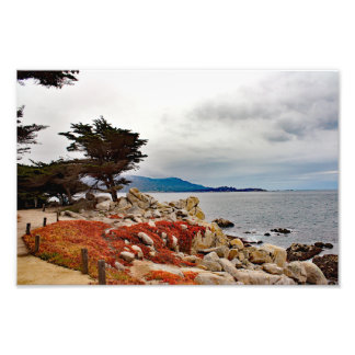 Foto 17 Mile Drive