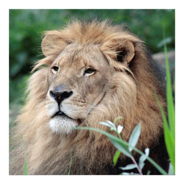 FOTO 2015_0801 (Frente)