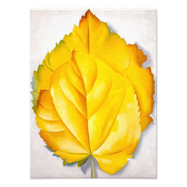 Foto 2 Folhas Amarelas | Georgia O'Keeffe |