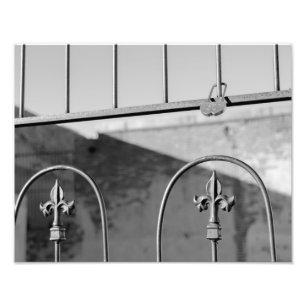 Foto 6067-Lock on Fence (Bloquear cerca)