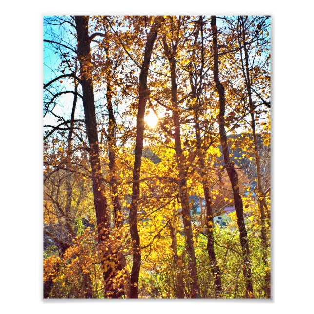 Foto 8 by 10 my view (Frente)