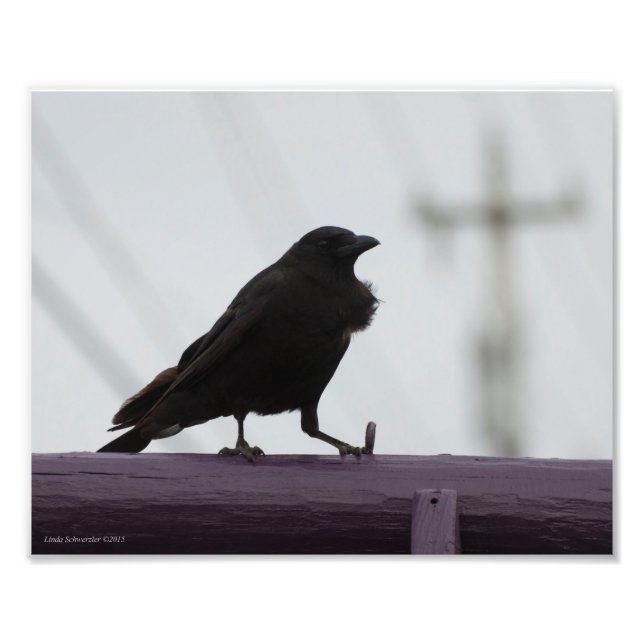 Foto 8X10 Crow em Roxo (Frente)