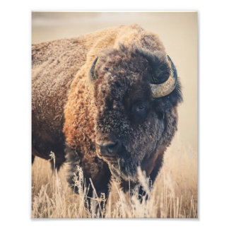 Foto 8x10 Print - Frosty Morning