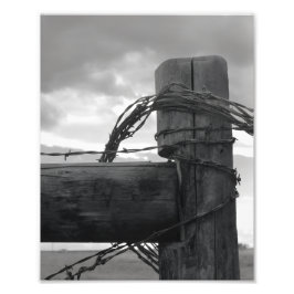 Foto 8x10 Print - Wood & the Wire
