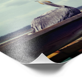 Foto 8x12 - Rua "Chillin' Pelican" Augustine, FL