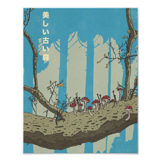 Foto A Bela e Antiga Floresta (Frente)
