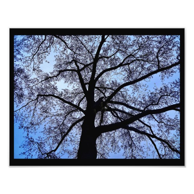 Foto A beleza da natureza (Frente)