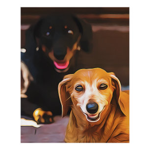 Foto A Dachshund Hot During The Summer Heatwave Poster