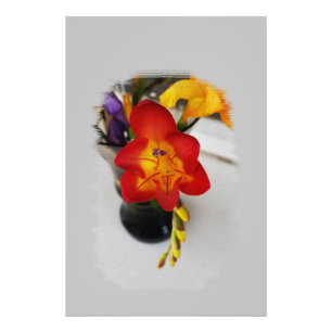 Foto A freesia vermelha