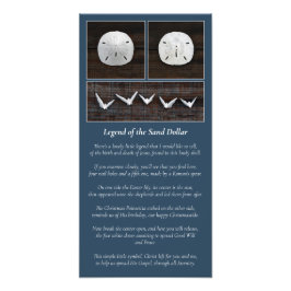 Foto A lenda do Dólar da Areia