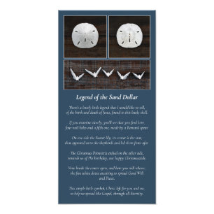 Foto A lenda do Dólar da Areia