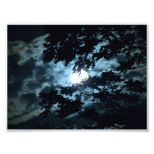 Foto A lua ilumina a noite atrás dos ramos de árvore