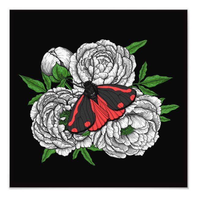 Foto A mariposa cinabar (Frente)