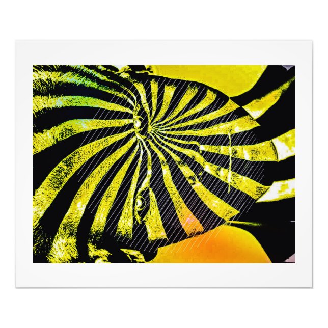 Foto A mudança (Frente)