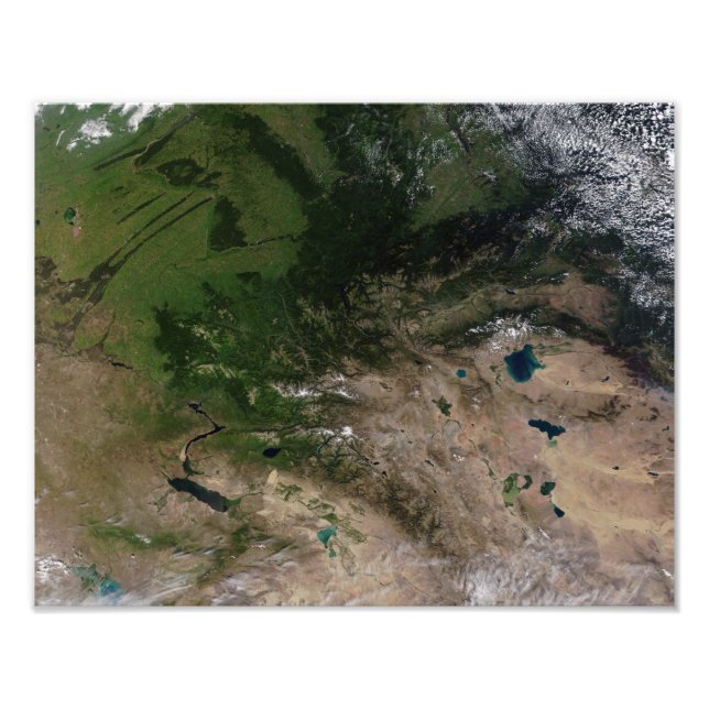 Foto A mudança de vegetação (Frente)