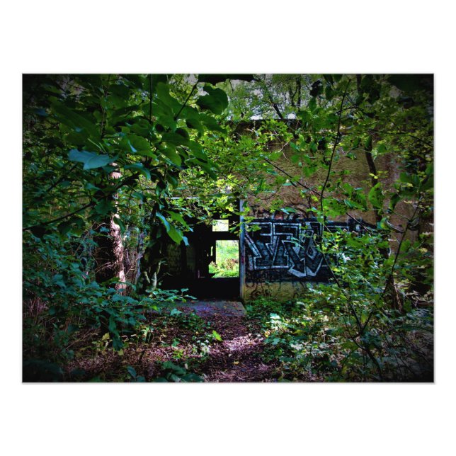 Foto "A Natureza Alega os Esquecidos" (Frente)