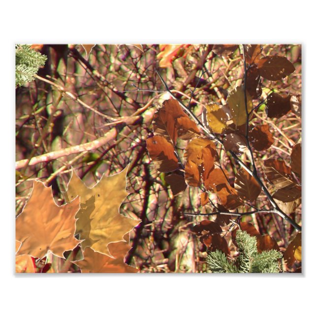 Foto A pintura de Camo Camouflage de Hunter Personaliza (Frente)