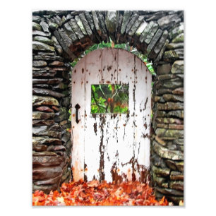 Foto A porta da floresta