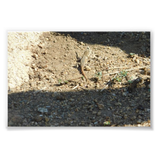 Foto A Procurar Tempo De Sonho (Frente)