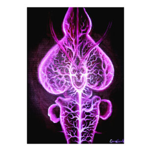 Foto A vascularização do sistema nervoso em roden