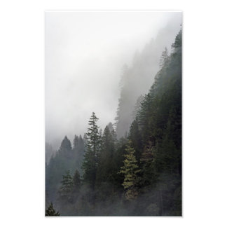 Foto A Vida Na Margem.