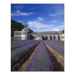 Foto Abadia de Senanque, Gordes, Vaucluse, Provença,