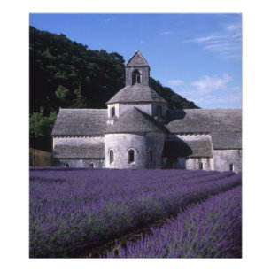 Foto Abadia de Sénanque, Gordes, Vaucluse, Provença, 2