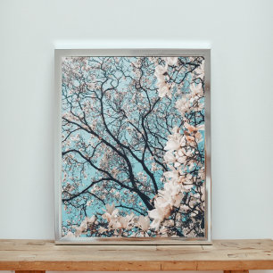 Foto Abaixo da Canopia dos Blossoms