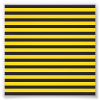 Abeja Melífera Listras Horizontais Amarelo Preto