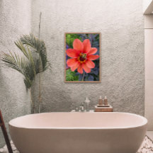 Abelha em Orange Dahlia Bloom Floral