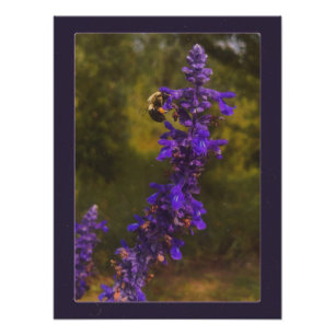 Foto abelha na lavanda