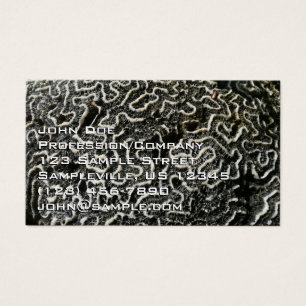 Foto Abstrata da Natureza Coral Preto e Branco II