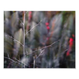 foto abstrata do ramo