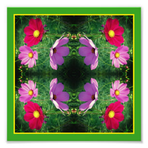 Foto Abstrato 8x8 do Espelho de Trio de Flor do Cosmos