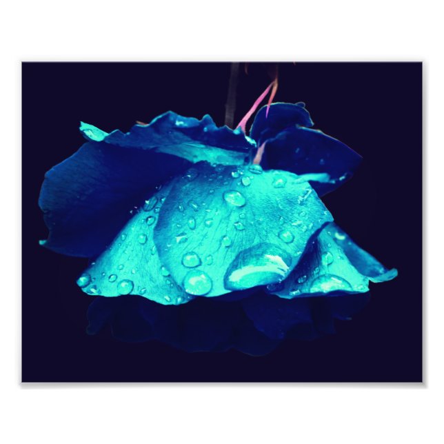 Foto Abstrato de de Rosa de Azul Art 8x10 (Frente)