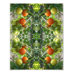 Foto Abstrato de Tomates de Cereja 8x10