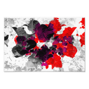 Foto Abstrato floral - vermelho e roxo sobre branco