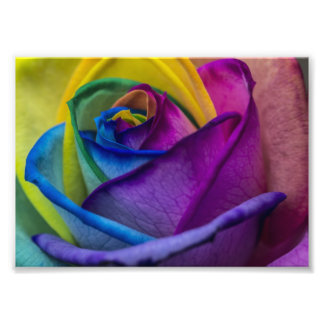 Foto Abstrato Rainbow Rosa